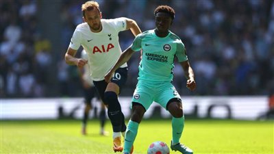  تراجع فرص توتنهام في المربع الذهبي بعد الخسارة أمام برايتون 