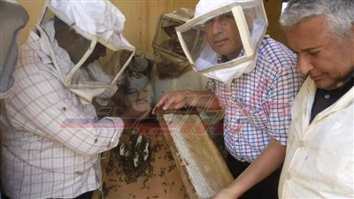 متولي يكشف لـ