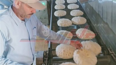 تحرير 76 محضرًا للمخالفين من التجار في حملة على أسواق كفر الشيخ