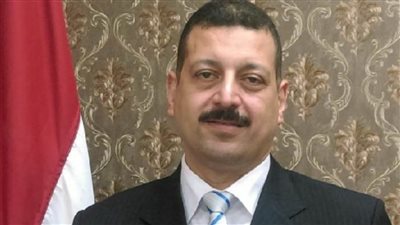 الكهرباء: مصر تسعى لتقديم نموذج يليق بها خلال مؤتمر تغير المناخ 