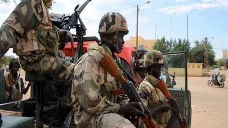 الجيش المالي