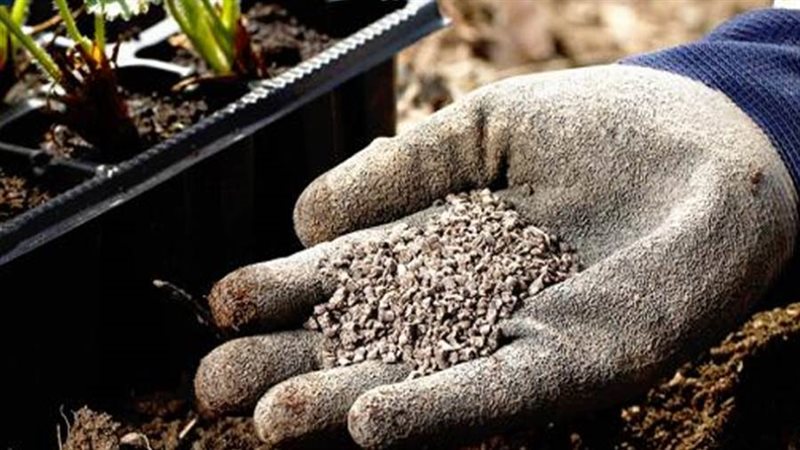 تصدير الأسمدة