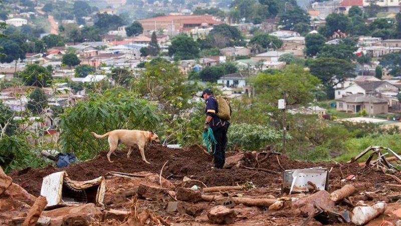 البحث عن الجثث باستخدام