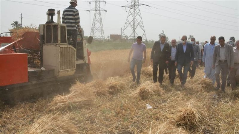 جانب من الحصاد