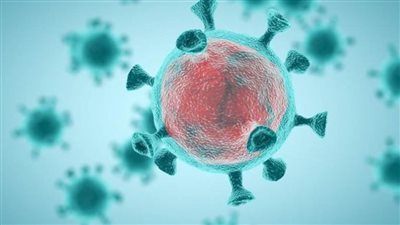 استمرار ارتفاع أعداد الإصابات والوفيات بسبب فيروس 