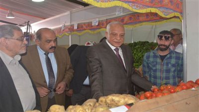 محافظ الجيزة يفتتح أكبر منافذ لبيع الخضروات والفاكهة تجزئة بسعر الجملة بحي الطالبية