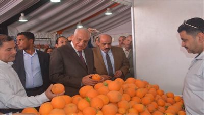 محافظ الجيزة يفتتح أكبر منافذ لبيع الخضراوات والفاكهة بسعر الجملة في الطالبية