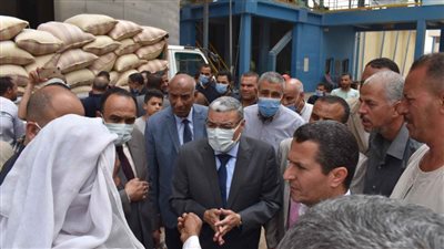 تموين المنيا: توريد 81.5 طن قمح بالصوامع