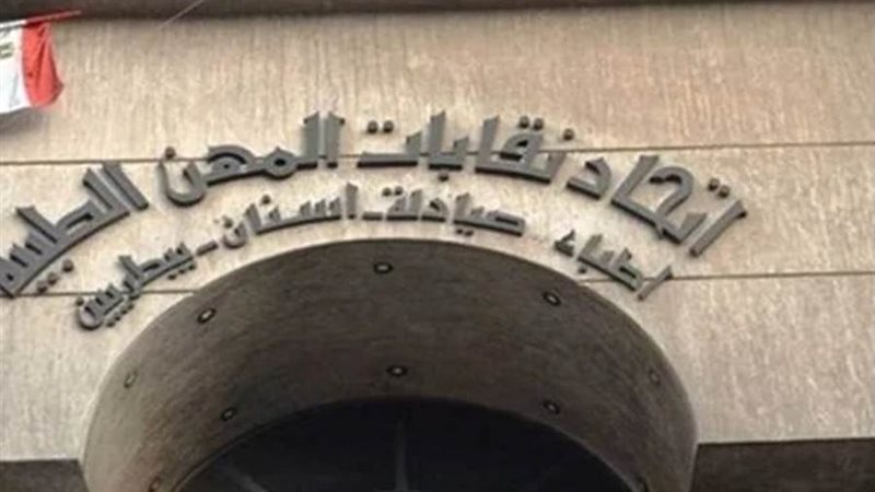 اتحاد نقابات المهن