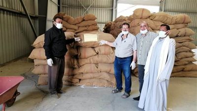 تموين المنيا: توريد 132 طنًا و 636 كيلو قمح بالصوامع