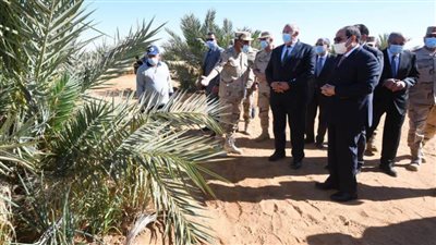 الرئيس السيسي يتفقد منطقة توشكى بجنوب الوادي ويشهد بدء موسم حصاد القمح × 15 صورة