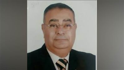 شعبة المستوردين: قرارات تنظيم الاستيراد نجحت في ضبط السوق وهناك مبالغة في الشكاوى