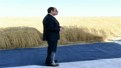  رئيس حزب أبناء مصر: افتتاح الرئيس السيسي حصاد قمح توشكى يؤكد أن مصر لن تجوع ولن تفلس
