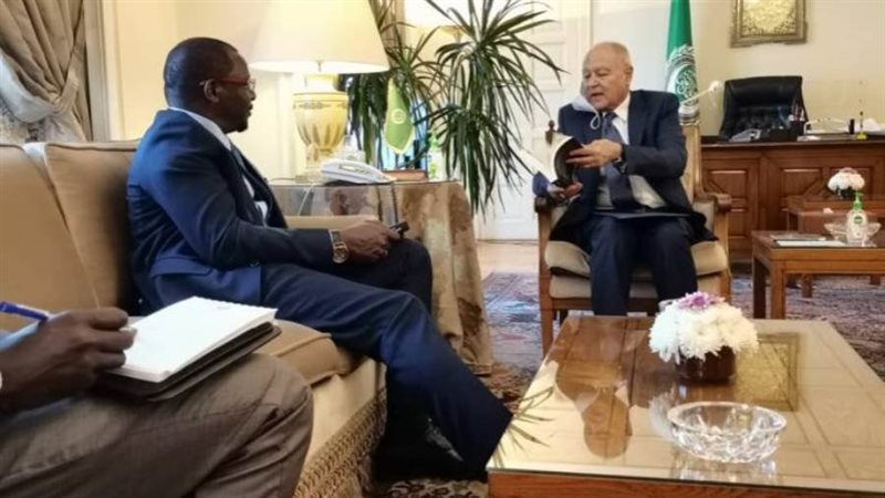 ابو الغيط مع سفير