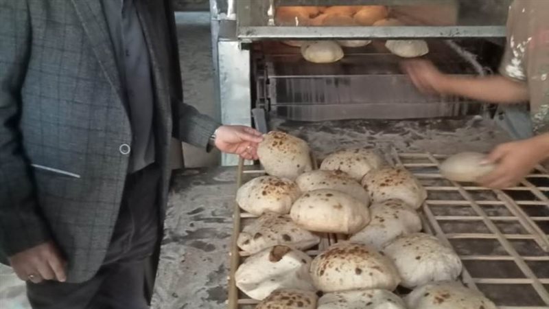 حملات تفتيشية