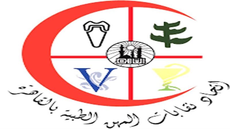 اتحاد نقابات المهن