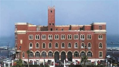 قصة نجاح بجامعة الإسكندرية.. لأول مرة تسويق سلالات بكتيرية مصرية عالميًا