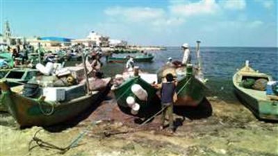 افتتاح موسم الصيد الجديد في بحيرة البردويل