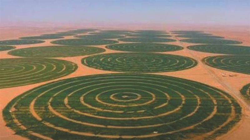 مشروع توشكى الخير