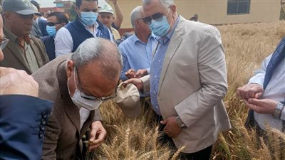 محافظ القليوبية ووزير الزراعة يتفقدان حقول القمح والصوب الزراعية بقها