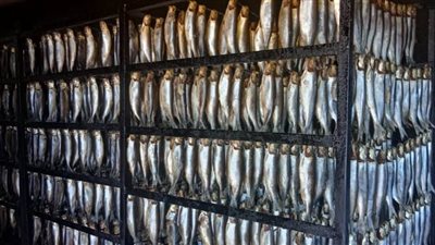 الصحة: إيقاف 245 منشأة غذائية تُدار بدون ترخيص