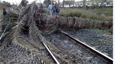 بسبب سقوط نخلتين.. تعطل حركة قطارات الصعيد في بني سويف