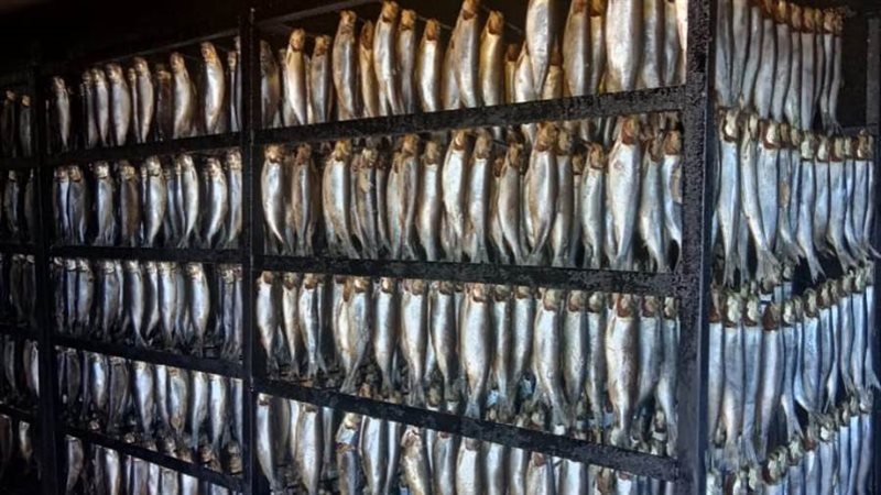 أغذية فاسدة