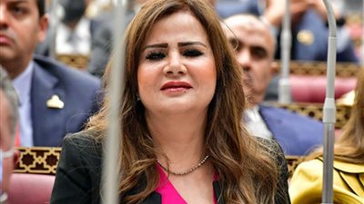 أمل رمزي: قرارات الرئيس خلال حفل إفطار الأسرة المصرية تدعم الاقتصاد المصري