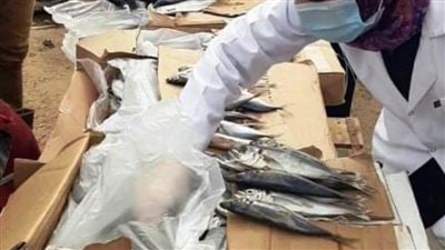 ضبط 10 أطنان و720 كجم لحوم ودجاج وأسماك مخالفة خلال حملات تفتيشية بالشرقية 