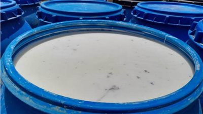 ضبط 2400 لتر لبن فرز يحتوي على حشرات وشوائب ببني سويف 