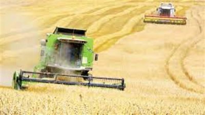 أوكرانيا تعلن تصدير القمح عبر موانئ هذه الدولة