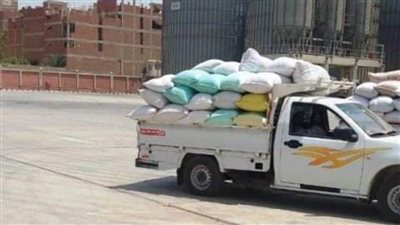 صوامع وشون الشرقية تستقبل 13062 ألف طن و169 كجم من السنابل الذهبية 