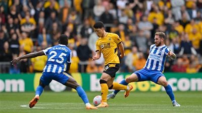 برايتون يضرب وولفرهامبتون بثلاثية نظيفة في البريميرليج