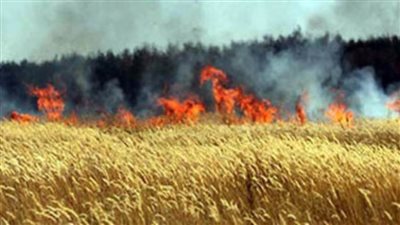 الدفع بـ3 سيارات إطفاء للسيطرة على حريق بمحصول القمح بسوهاج