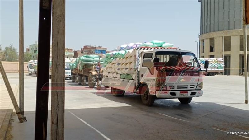 توريد القمح