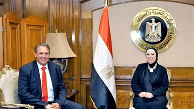 نيفين جامع: اهتمام بالغ من القيادة السياسية بتوطين صناعة السيارات محليًا