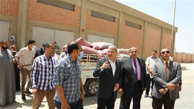شون وصوامع المنيا استقبلت 28 ألف طن قمح منذ بدء التوريد