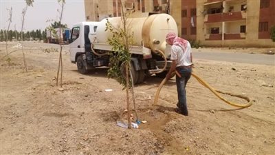 نشاط للنظافة والتجميل بالوادى الجديد خلال أيام عيدالفطر المبارك