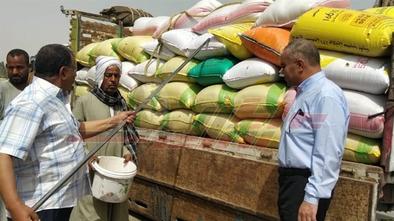 توريد القمح