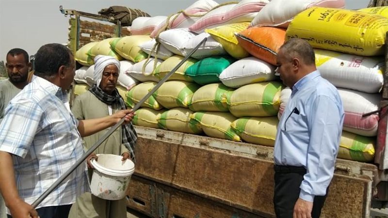 محافظ أسيوط: توريد