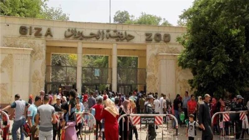حديقة الحيوان بالجيزة