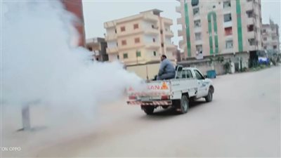 حملات مكبرة لمكافحة البعوض والذباب والحد من انتشار الأمراض بالبحيرة