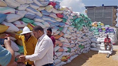 توريد ٣٤٢٦ طن قمح لشون وصوامع محافظة البحيرة