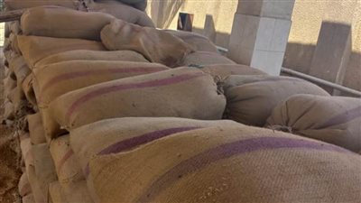 انتظام العمل بشون توريد القمح وتكثيف النظافة والتجميل ببني سويف