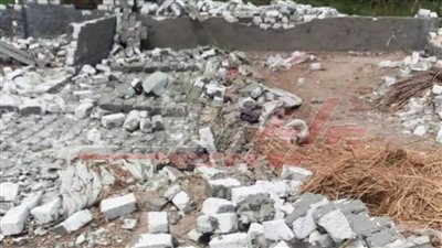 إزالة التعديات على الأراضي الزراعية ببلطيم في كفر الشيخ