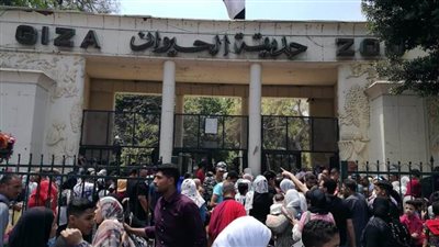 وزارة الزراعة: حديقة الحيوان استقبلت أعدادًا غير مسبوقة من الزائرين 