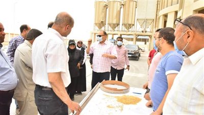 توريد 5660 طن قمح بالصوامع والشون منذ بداية الموسم بأسيوط