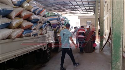 شون وصوامع كفر الشيخ تستقبل 33192 طنا و794 كيلو قمح