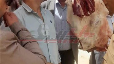 حملات تموينية مكبرة وتحرير محاضر للمخالفين بكفر الشيخ