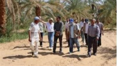 مركز البحوث الزراعية يستأنف خطة المدارس الحقلية بمزارع الوادي الجديد